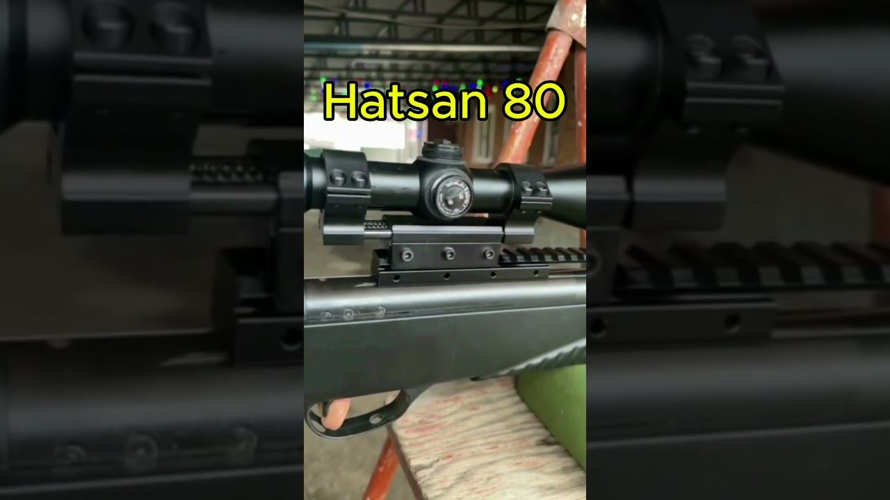 Hatsan 80 подвижный моноблок #shorts_video смотреть онлайн