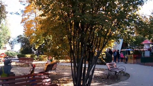 Золотая осень в Мичуринске 27.09.2020. смотреть онлайн