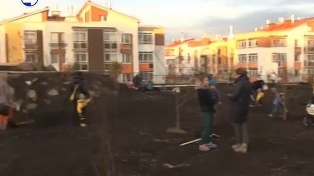 Парк в Мичуринском смотреть онлайн