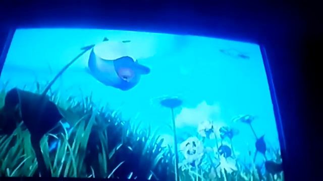 Пчёлка Майя