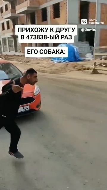 Kavkaz. Случай на улице с другом смотреть онлайн