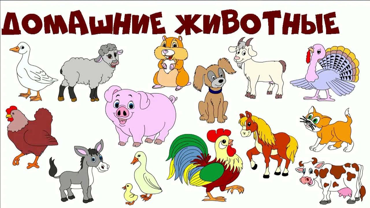 Мультик для малышей про животных. Домашние животные на ферме смотреть онлайн