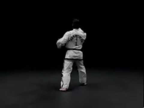 Дан Гун видео в тхэквондо туль на желтый пояс 8 гып, хьенг 21 движение, комплекс Dan Gunl вид сзади смотреть онлайн
