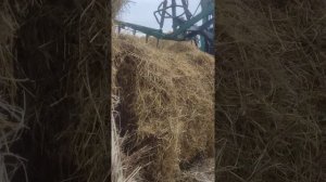 Погрузчик на заднюю навеску,разгрузка рулонов сена самодельным позрузчиком из кара, т-25 т-40 МТЗ