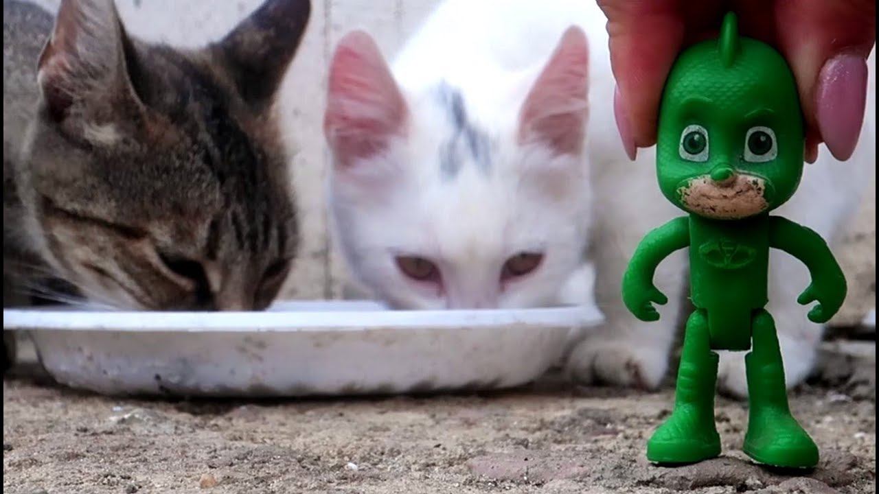 Видео для детей. Гигантские коты и Герои в Масках смотреть онлайн