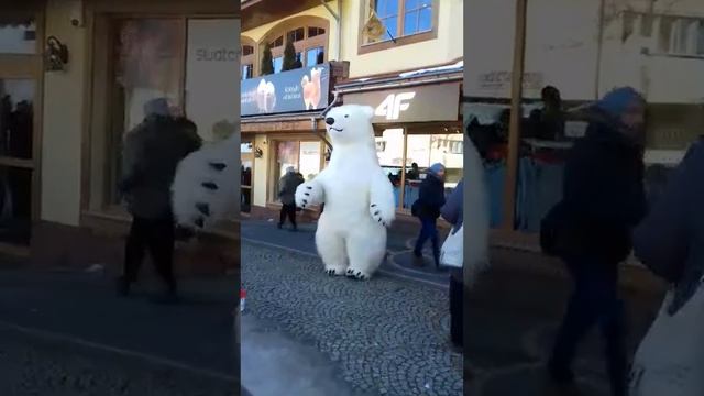 Карпачи горный центр отдыха Польши смотреть онлайн