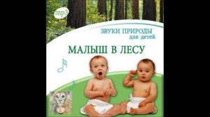 Звуки природы для детей. Малыш в лесу