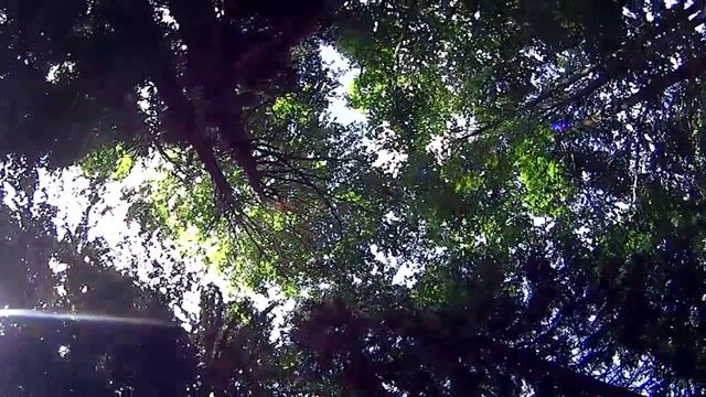 Карпати 2015 HD720