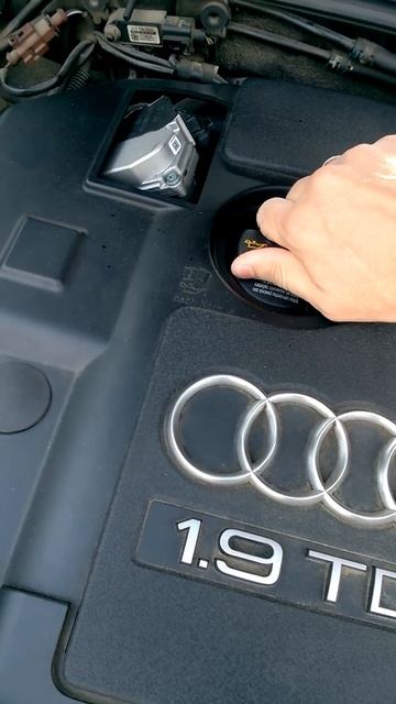 EPURATOR INFUNDAT Audi A4 B7 1.9 TDI BRB DPF 2007 смотреть онлайн