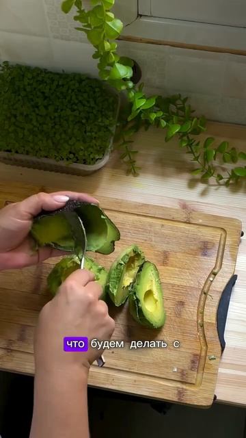 #авокадо #закуска #рецепты #cookingfood #рецепт #foodpreparation #еда #cookingrecipe #вкусно #food смотреть онлайн
