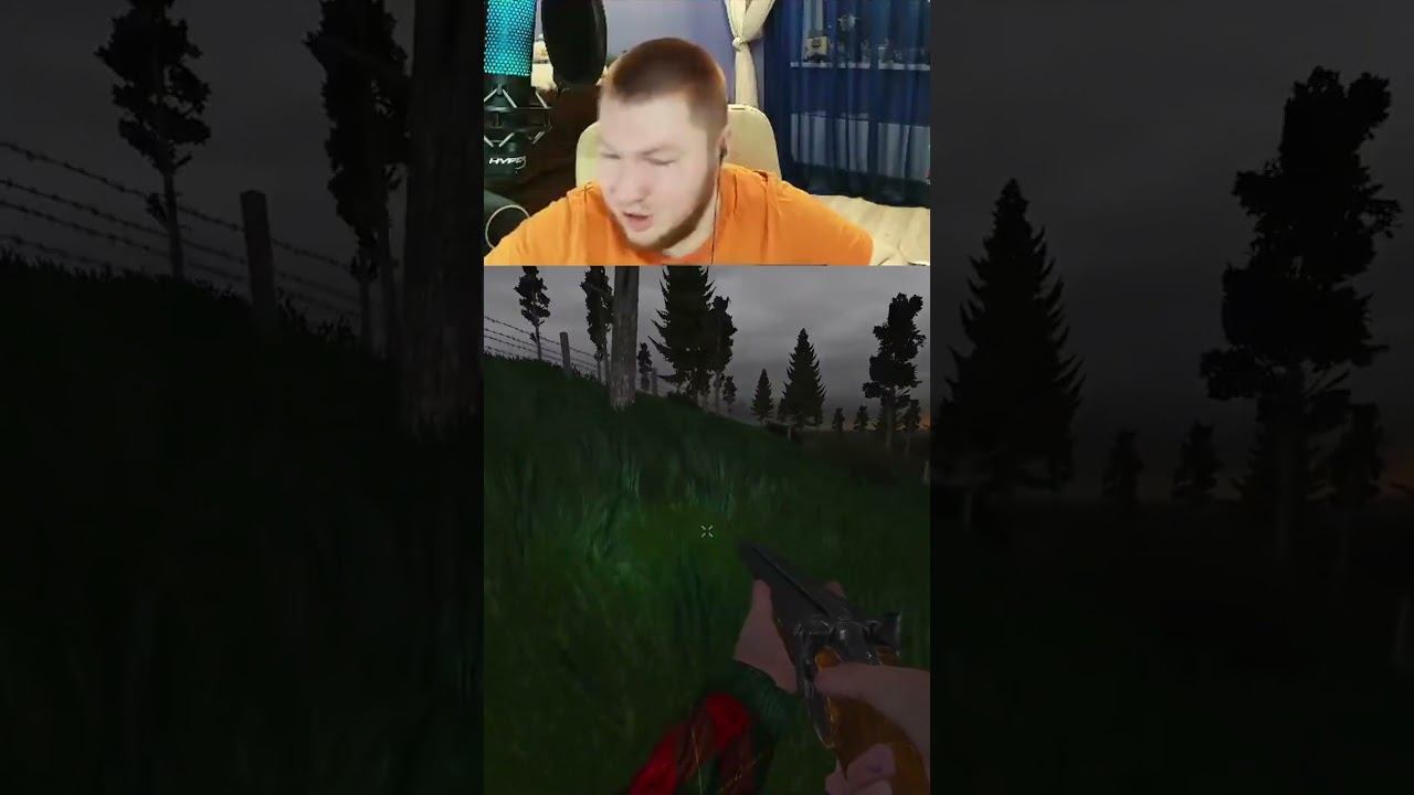 Страшные звуки в сталкере! смотреть онлайн