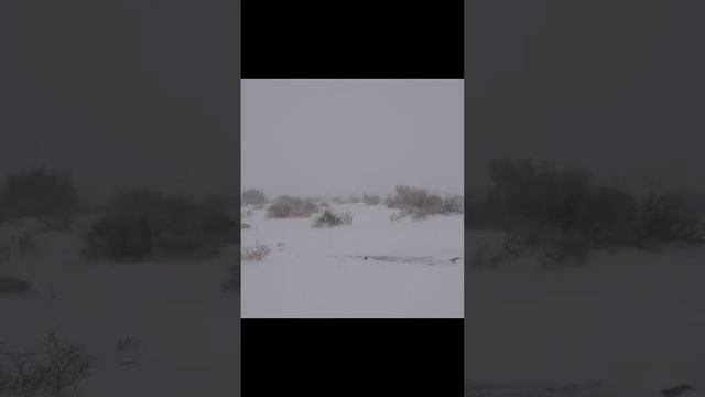 18 декабря 2023 г. часть 1