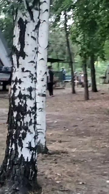 турбаза Ивушка смотреть онлайн