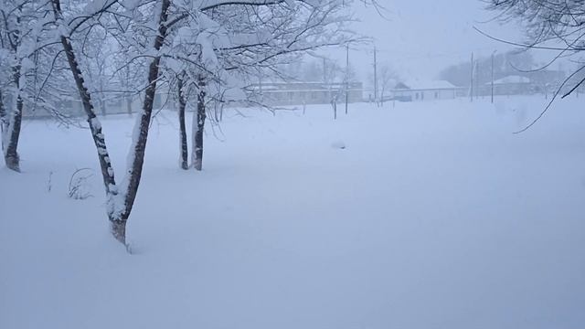 Воздвиженское под снегом!Завалило.#снегопад #воздвиженское смотреть онлайн