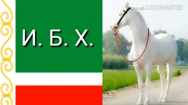 Дикчу накъостан!