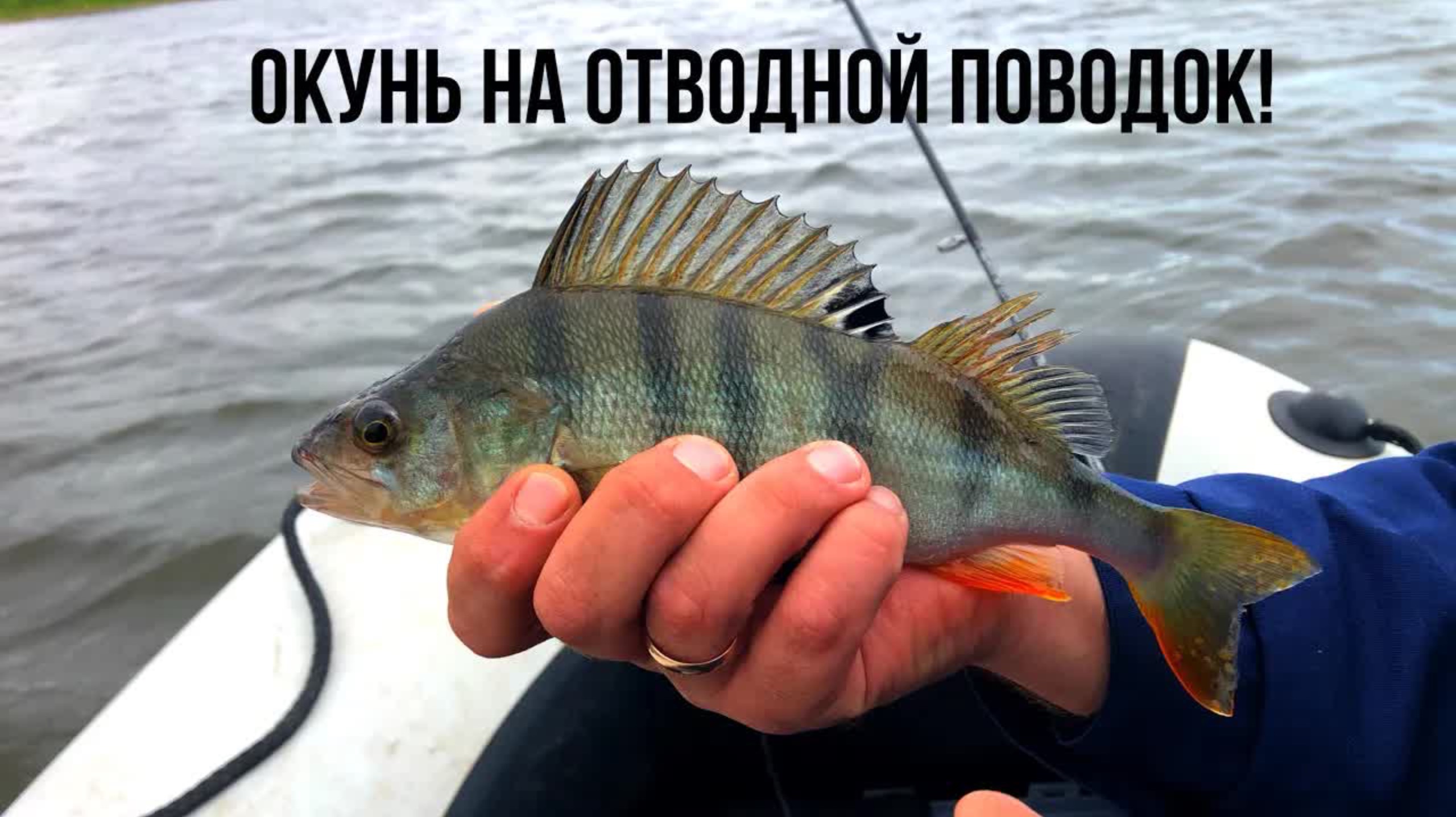 САМАЯ ЛУЧШАЯ СНАСТЬ В МИРЕ!!!Не оставила Окуню не единого шанса!! смотреть онлайн