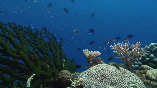 Мысли материальны не веришь, смотри смотреть онлайн