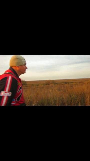 Здесь еще, не ступала нога человека!!! По диким местам реки Ишим. 2017 #shorts #short смотреть онлайн