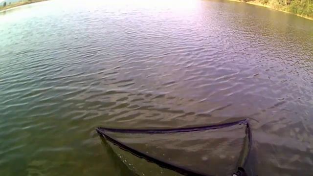 Размазващ Шаранджийски Риболов На Язовир Церово/23.07.22/Carp Fishing смотреть онлайн