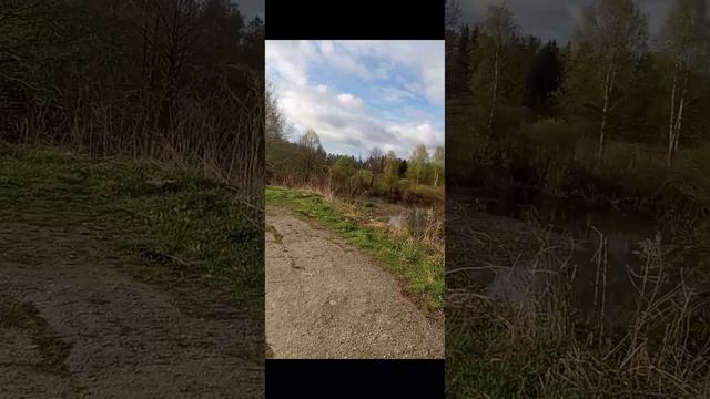 Река Суворощь 2025 смотреть онлайн