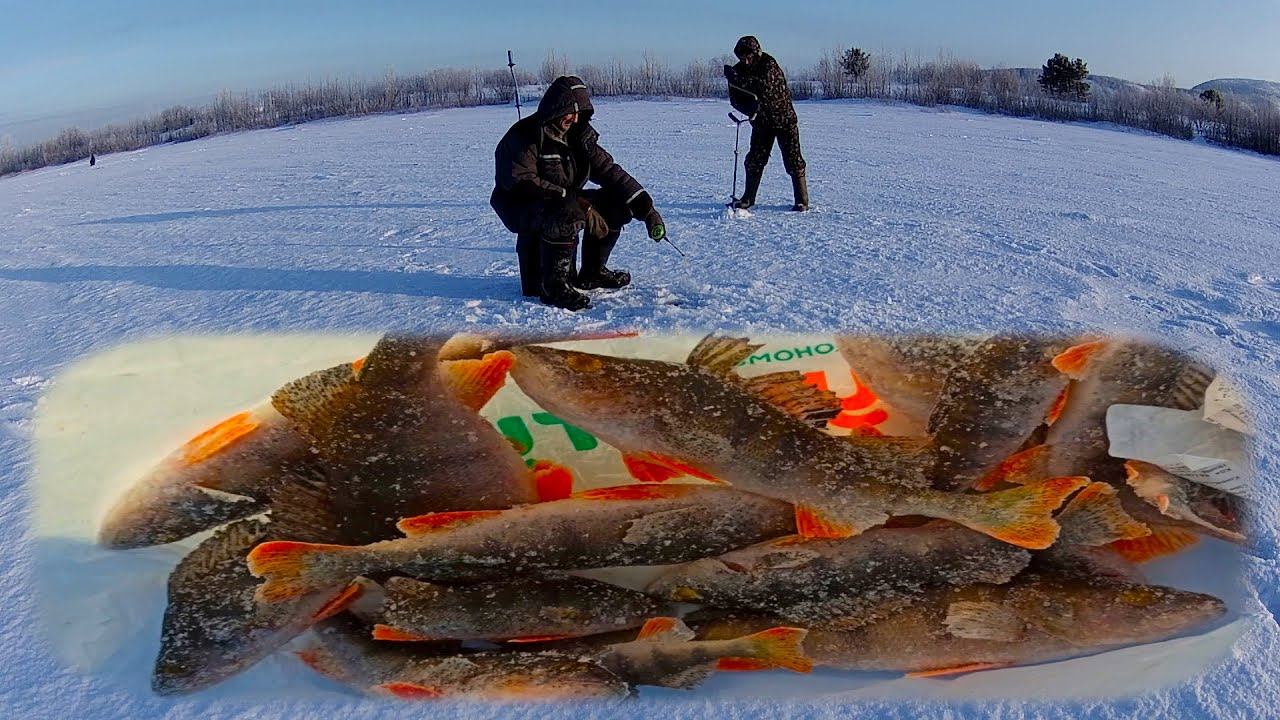 Рыбалка в Самаре. Пакет окуней на Волге. Совместный выезд с каналом "Александр Исаев" смотреть онлайн