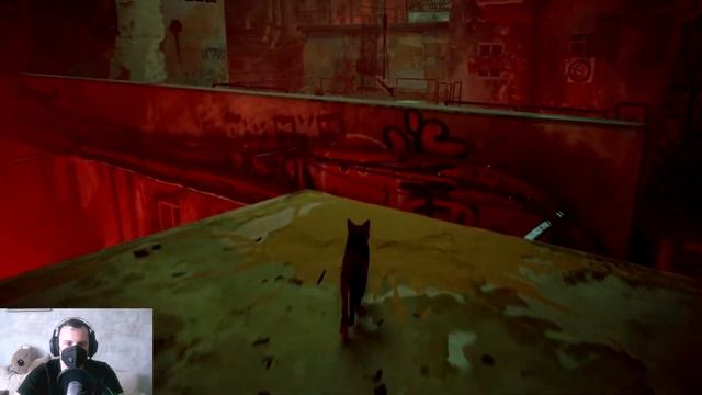STRAY ПРОХОЖДЕНИЕ [3. ПОЛЧИЩА ЗУРКОВ] смотреть онлайн