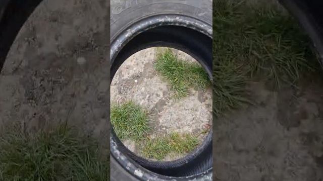 VID-20250427-WA0003 смотреть онлайн