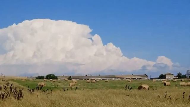 Ты не верь слезам - РоМчитос певец ЛЕТНИЙ КЛИП ! смотреть онлайн