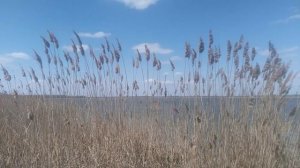 VID_20250427_134817.mp4