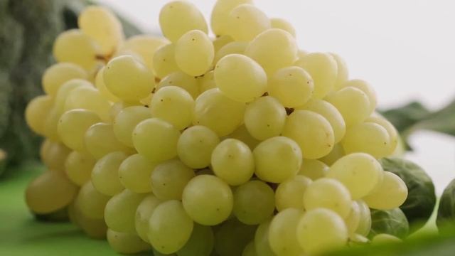 Кожурки НЕ ВЫКИДЫВАЙТЕ: 6 овощей и фруктов, которые никогда НЕЛЬЗА чистить! смотреть онлайн
