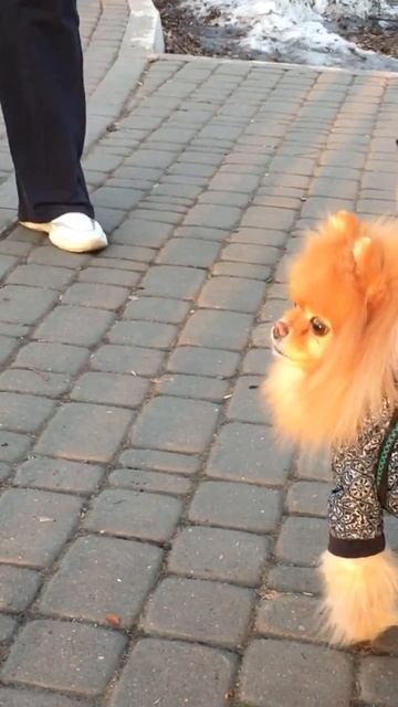 На прогулке