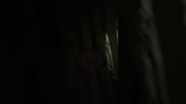 2 марта 2024 г.