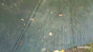 Как посеять траву,чтоб не склевали птицы семена