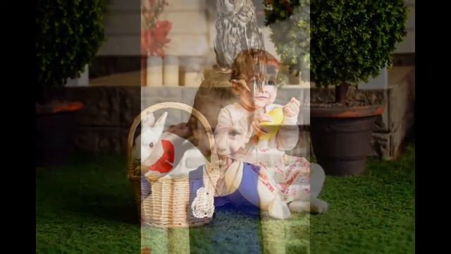 Животные для фотосессии для молодоженов,8 965 380-13-11, Москва и область