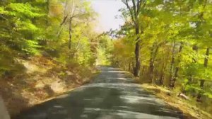 Сборник-8. Музыка Сергея Чекалина. Collection 8. Music by Sergey Chekalin.