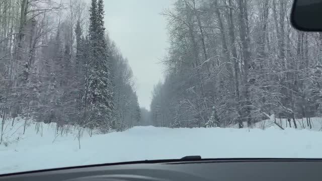 На Весте H4m CVT (Вариатор) по Лесу и в Гору, где все застряли! смотреть онлайн