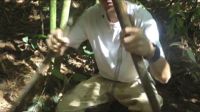 Jungle shelter смотреть онлайн