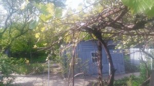 VID_20250427_085340.mp4