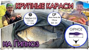 Крупные караси на Гипноз. Мормышинг. TeleTen 2.0 (0.1 - 1.5 г). Nano Travel Air (0.3 - 2 г)