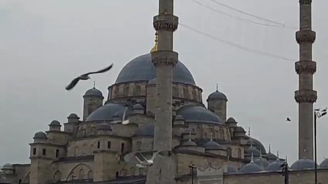 Азербайджанская музыка смотреть онлайн