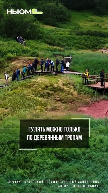 Здесь слышно, как дышит наша планета. Так говорят туристы о Долине гейзеров на Камчатке. смотреть онлайн