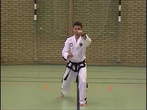 Дан Гун видео в тхэквондо туль на желтый пояс 8 гып, хьенг 21 движение, комплекс Dan Gunl Tul спорт смотреть онлайн
