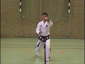 Дан Гун видео в тхэквондо туль  на желтый пояс 8 гып, хьенг 21 движение, комплекс Dan Gunl Tul спорт