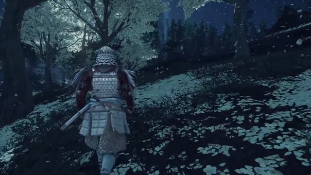 Красоты ночной деревни Оми смотреть онлайн