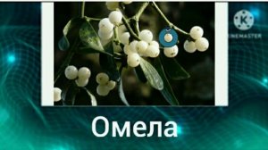 Алфавит Лор + ШИЗА =