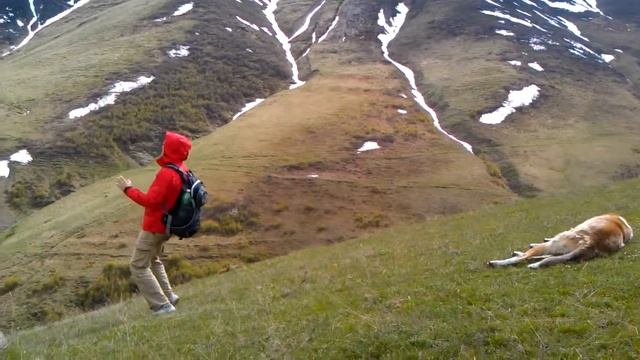 Жига-дрыга в честь Казбека