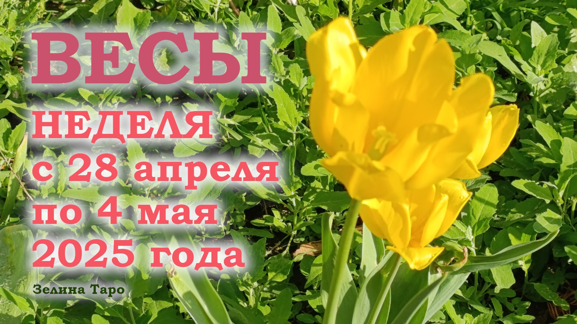 ВЕСЫ | ТАРО прогноз на неделю с 28 апреля по 4 мая 2025 года