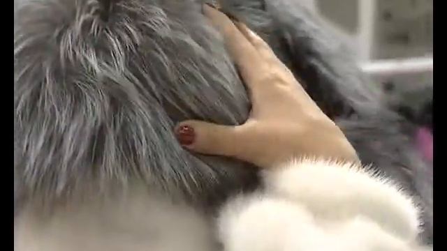 ЛЯ ВИТРИНА смотреть онлайн