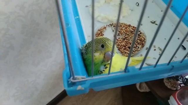 02. 03. 2019 г. ВОТ МЫ КАКИЕ...svn