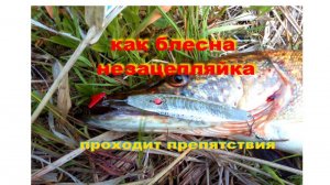Блесна НЕЗАЦЕНЛЯЙКА со специальным одинарным усом.